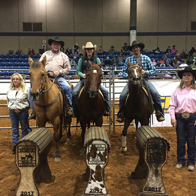 Reserve World Champions At USTPA 2017 National World Championship Show at Fort Worth, Texas