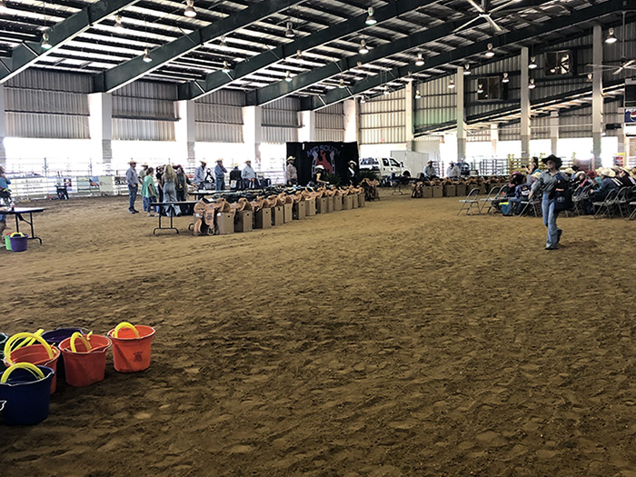 Mid-South Little Britches Awards
