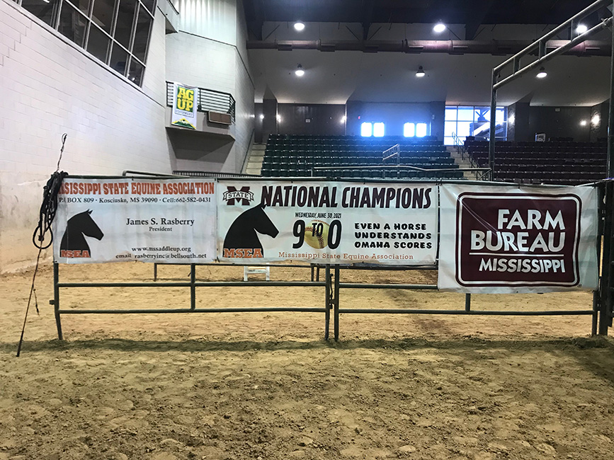 MSEA Sponsors Dixie National Paint Horse Show - February 5-6, 2022